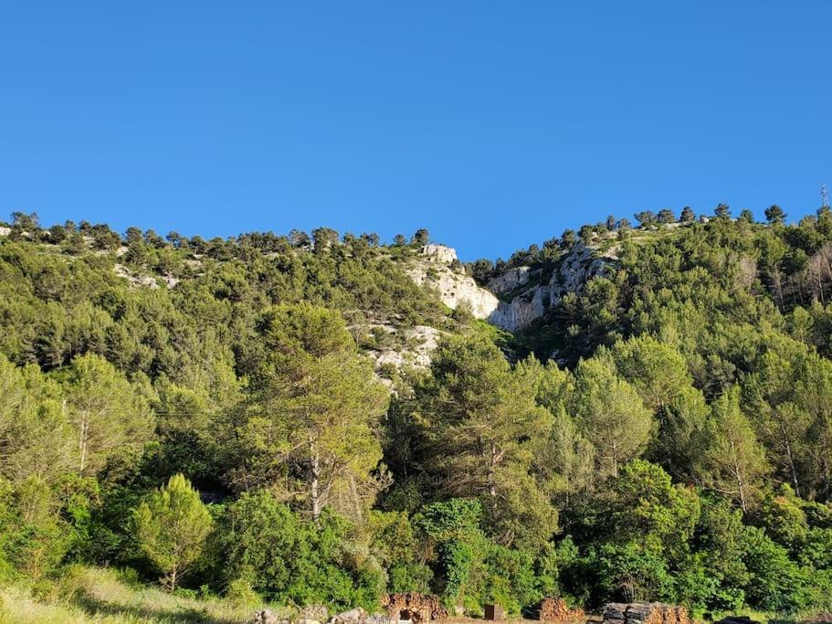 Les Prairies De Fenestrelle Spa & Piscine Au Calme Aubagne Eksteriør billede