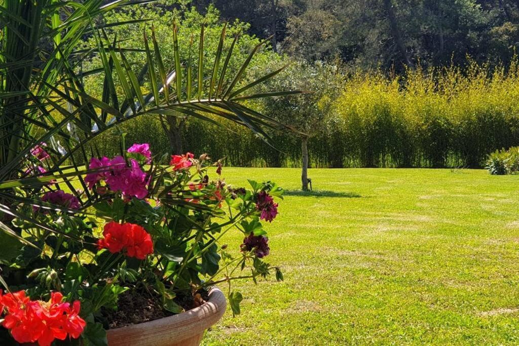 Les Prairies De Fenestrelle Spa & Piscine Au Calme Aubagne Eksteriør billede